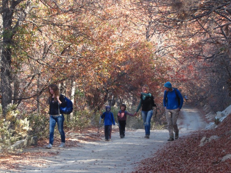 Cerro el Roble