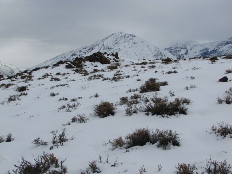 cerro medio cumbre