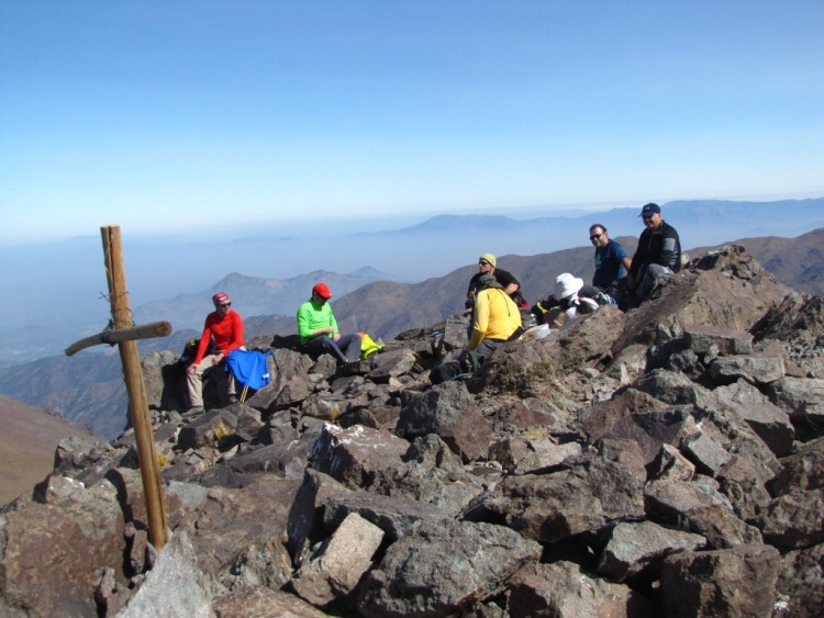 cortadera cumbre