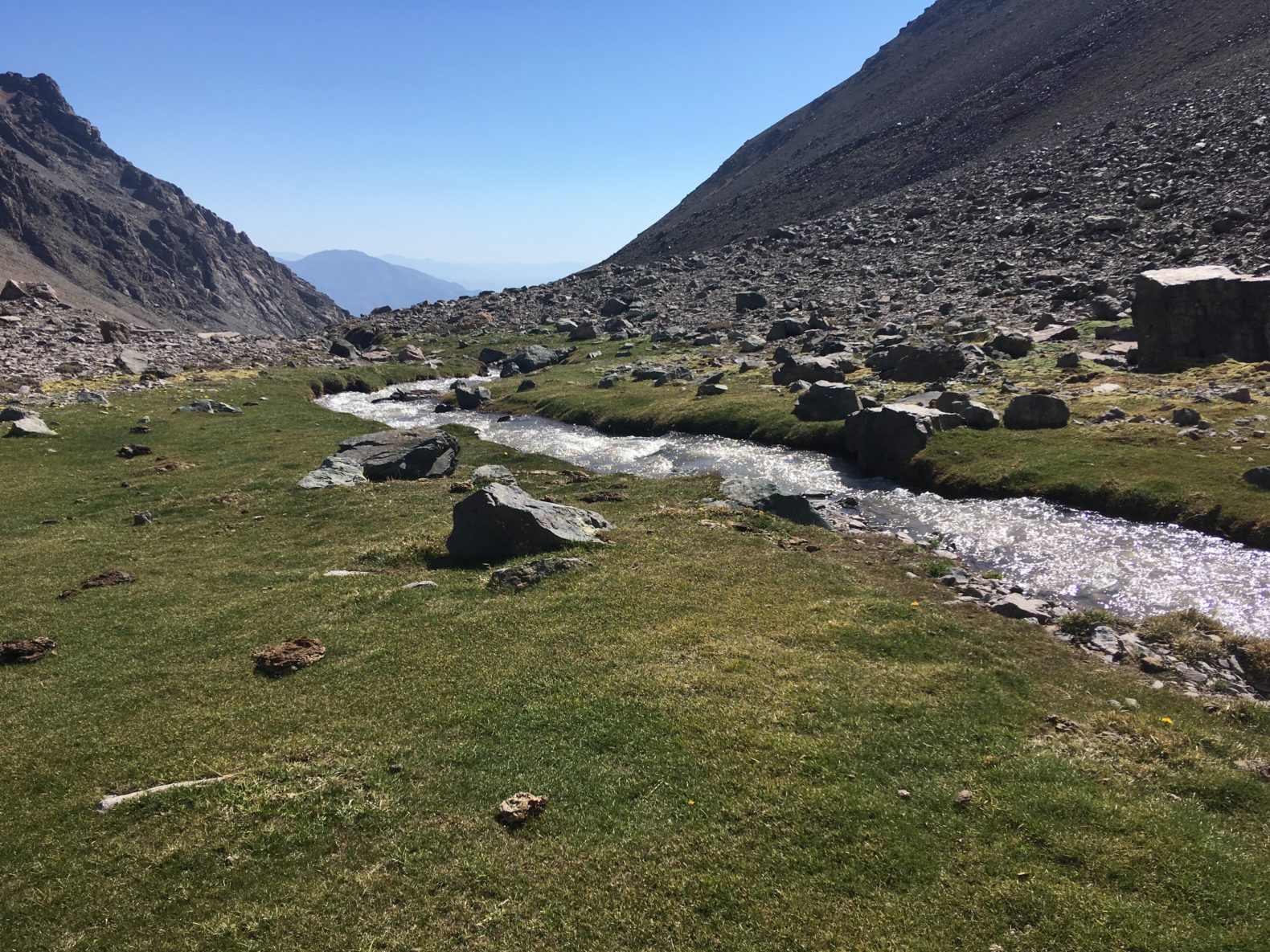 Cerro La Polvareda Domingo 06 de enero