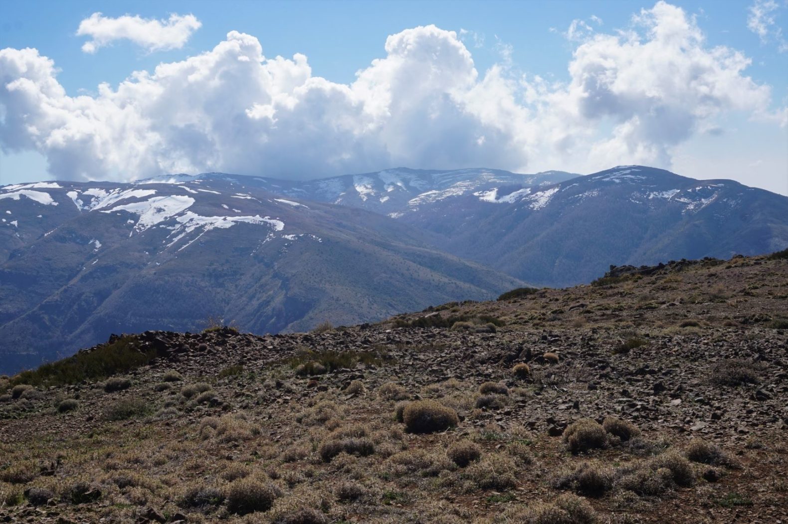 Exploración Cordillera de la Costa – 20 y 21 de julio