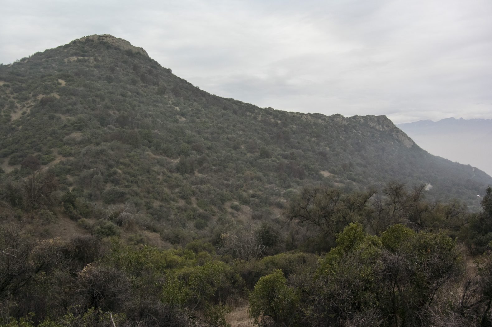 Salida Familiar Cerro Manquehuito – 29 de mayo