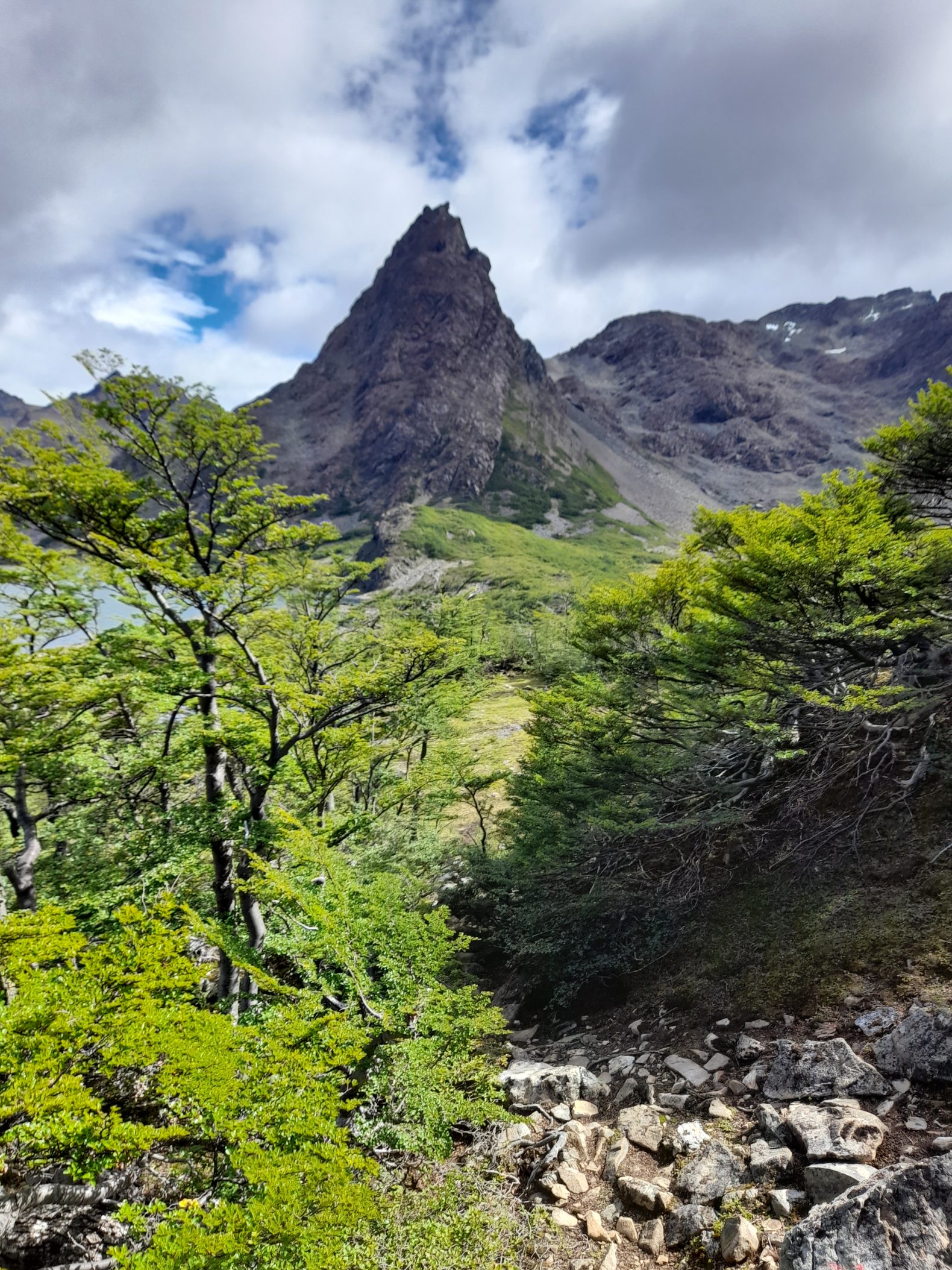 Salida de trekking a Dientes de Navarino y Monte Bettinelli – Diciembre 2022 (cupos llenos)