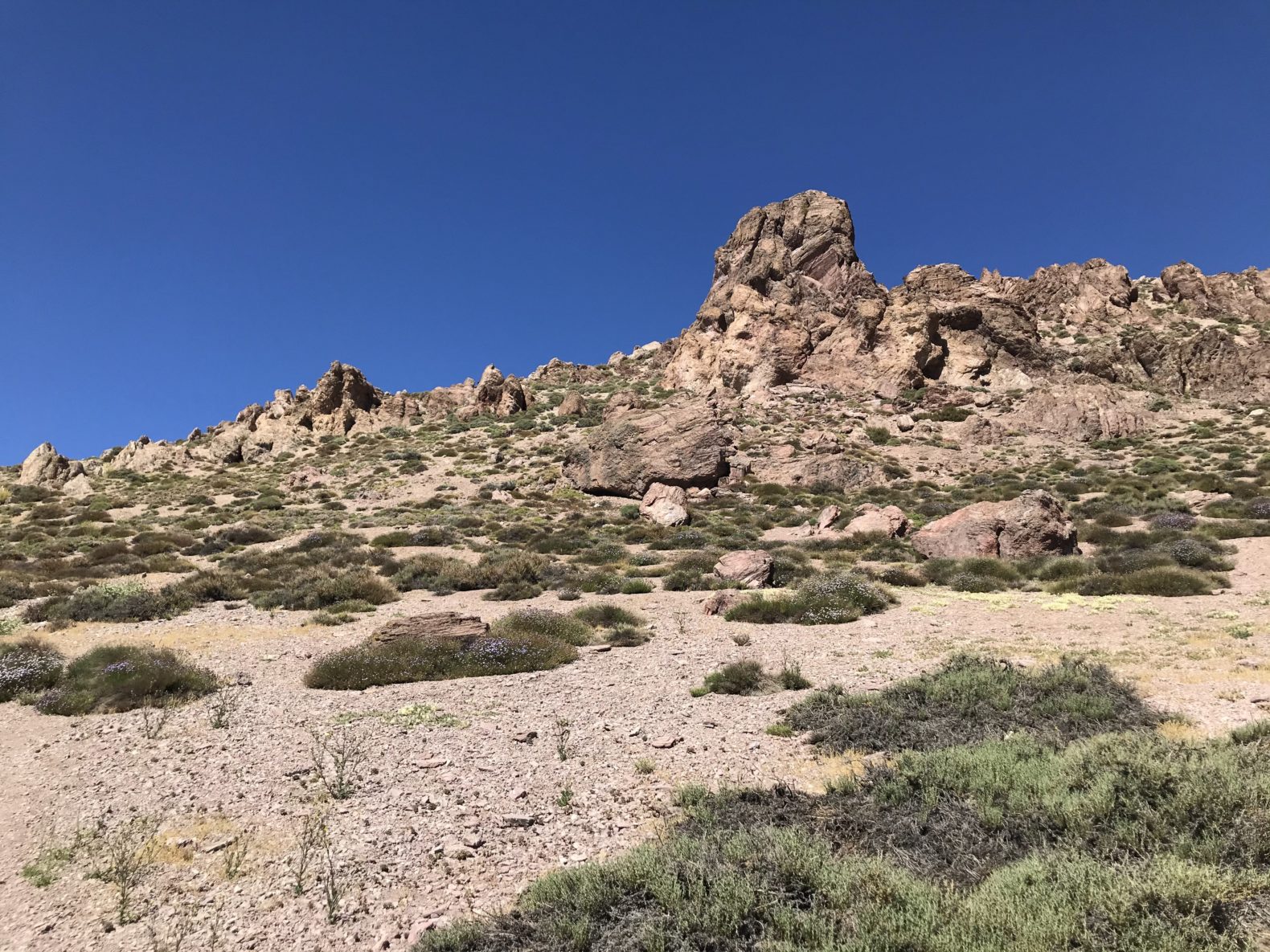 Salida de Trekking Cerro Canoitas – 20 de Mayo // CUPOS COMPLETOS